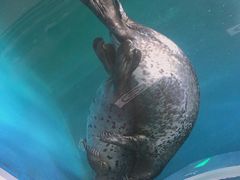-青岛海底世界-水族馆