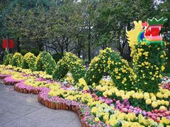 -南山植物园