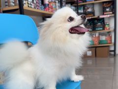 -佳雯宠物医院·皮肤科·内外科(春晓路分院)