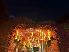 -北京欢乐谷