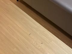 -涨巢·潮玩水疗局