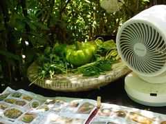 -缘生态云南菜·野生菌庭院餐厅(华侨城店)