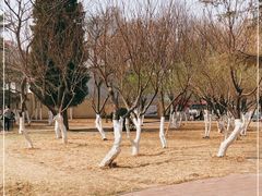 -和平区健康主题公园