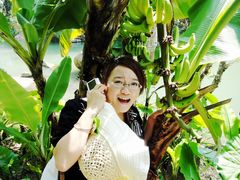 DSC02872-三亚亚龙湾人间天堂鸟巢度假村