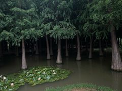 -捞渔河湿地公园