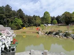 -铁山坪森林公园