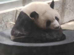 -西安秦岭野生动物园