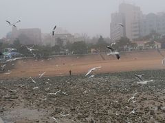 -龙泉小镇(科圣路店)