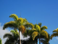 -深圳湾公园(南山区)