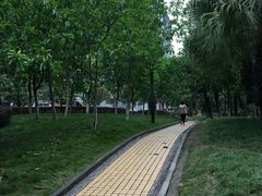 -西南政法大学(渝北校区)