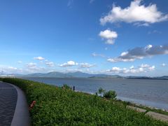-深圳湾公园(南山区)