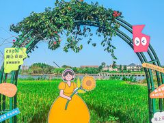 -杭州湾海上花田景区