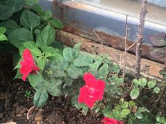 -许鲜生健康生活馆·精细潮菜(奥绅体育公园店)