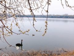 -颐和园