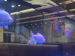 -新辉港式茶餐厅(北栅店)