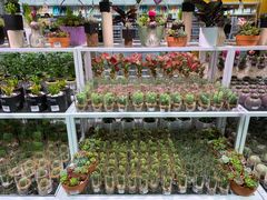 -KKV(深圳宏发大仟里店)