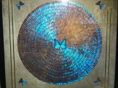 -上海昆虫博物馆