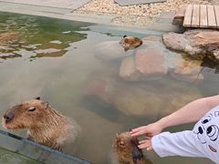 -郑州银基黄帝宫御温泉