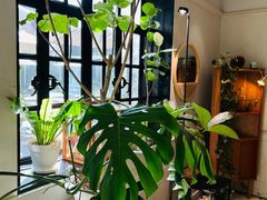 -一尺花园(安和花园店)