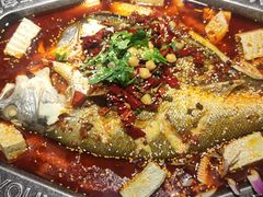-马有鱼·馕坑烤全鱼(美美2店)