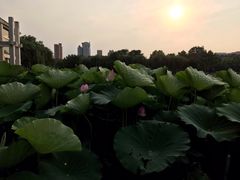 -裕华世纪公园