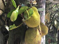 -疯狂屋