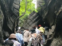 -梭布垭石林景区