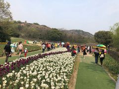 -白马涧龙池景区