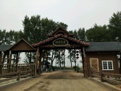 android_upload_pic-稻梦空间