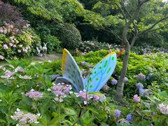 -上海共青森林公园