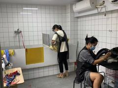 -派特宠物医院(圆融广场店)