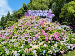 -上海滨江森林公园