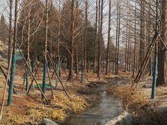 -白水寺森林公园