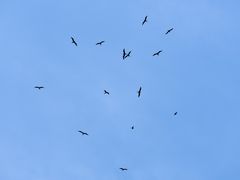 -金巴兰海滩烛光bbq