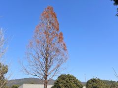 -百万叔(临湖店)