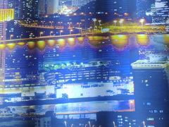 -澳门陈光记烧味饭店(万象城店)