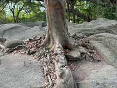 -乌山风景区