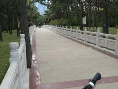 -林海公园