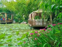 -三圣花乡旅游区