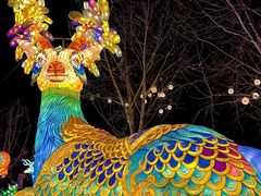 -淄博花灯齐彩城