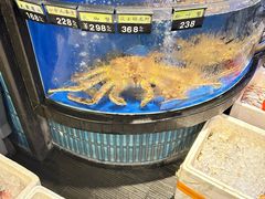 -沙龙酒家