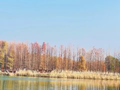 -苏州太湖国家湿地公园
