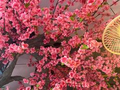 -巴乡石锅鱼(密云店)