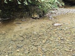 -宁波五龙潭景区