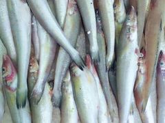 -台州卡金海鲜楼(上南路店)