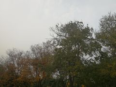 -卢沟桥文化旅游区