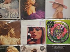 -树懒黑胶唱片店(中山路店)