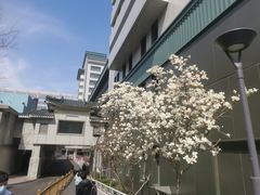 -北京协和医院(东单院区)