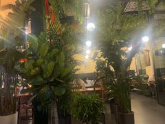 -普兰达德国餐厅·德式脆皮烤猪肘·自酿啤酒(观唐店)