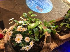 -蜜桃餐厅·江浙融合菜(荟聚购物中心店)